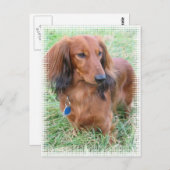 Carte postale LonghEI (Devant / Derrière)