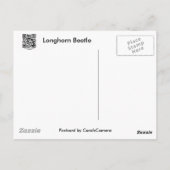 Carte Postale Longhorn Beetle Coordonner les éléments (Dos)