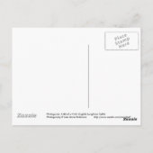 Carte postale Longhorn Cattle Cow (Dos)