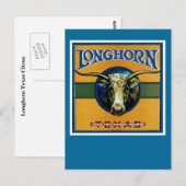 Carte Postale Longhorn Texas (Devant / Derrière)