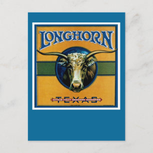 Carte Postale Longhorn Texas