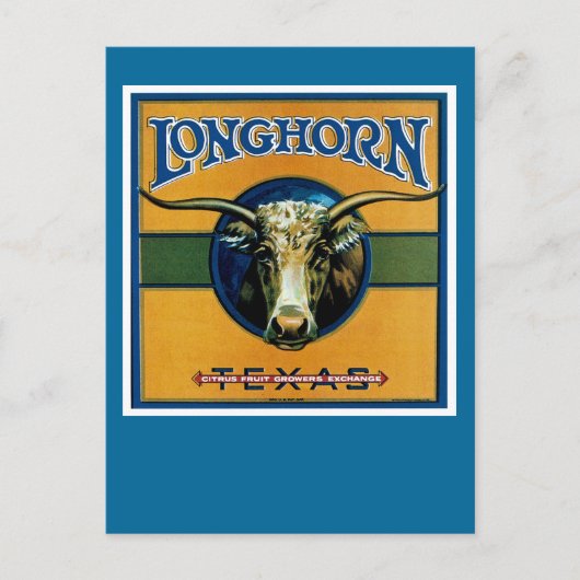 Carte Postale Longhorn Texas (Devant)