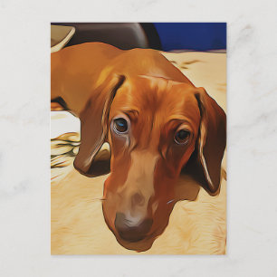 Carte Postale Longue Dachshund Est Allongé Sur Le Lit