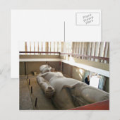 Carte Postale Longue photo de Ramses (Devant / Derrière)