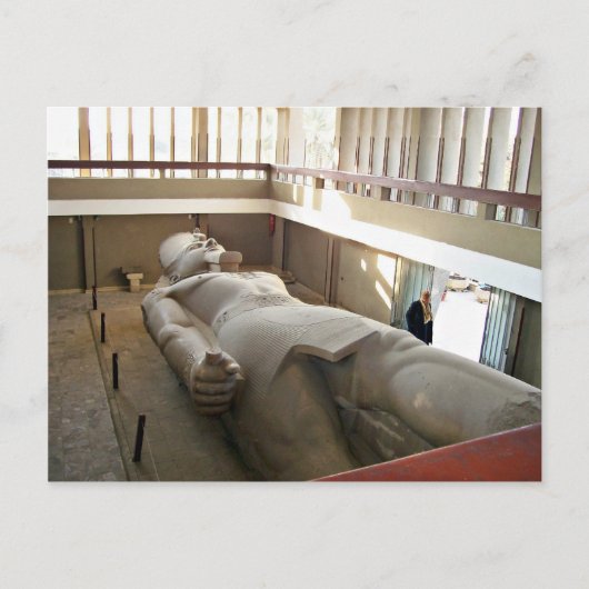 Carte Postale Longue photo de Ramses (Devant)