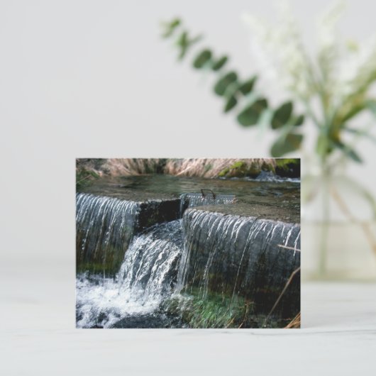 CARTE POSTALE LONGUEUR (Debout devant)