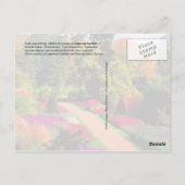 Carte Postale Longwood Gardens, Pennsylvanie (Dos)