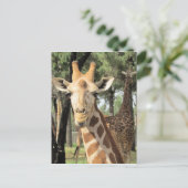 Carte Postale look girafe (Debout devant)