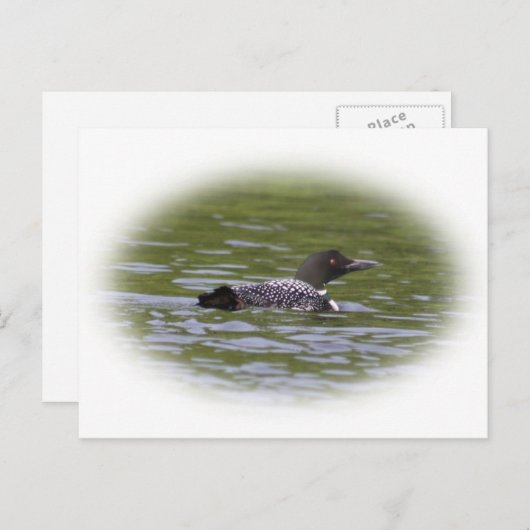 Carte Postale Loon (Devant / Derrière)