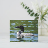 Carte Postale Loon du Nord 2 (Debout devant)