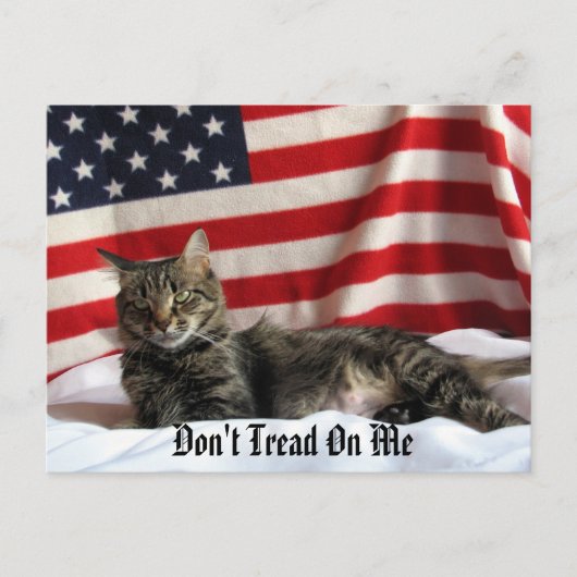 Carte Postale L'opinion politique de Nia (Devant)