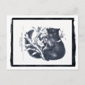 Carte Postale L'Opossum de Sooty (Devant)