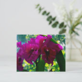 Carte Postale L'orchidée (Debout devant)
