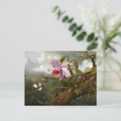 Carte Postale L'orchidée de Cattleya, deux colibris et un scarab (Debout devant)