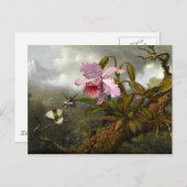 Carte Postale L'orchidée de Cattleya, deux colibris et un scarab (Devant / Derrière)