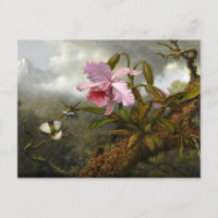 L'orchidée de Cattleya, deux colibris et un scarab