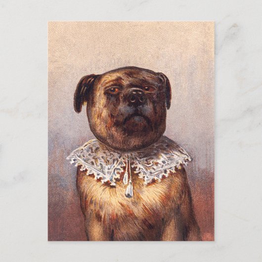 Carte postale Lord Canine (Devant)