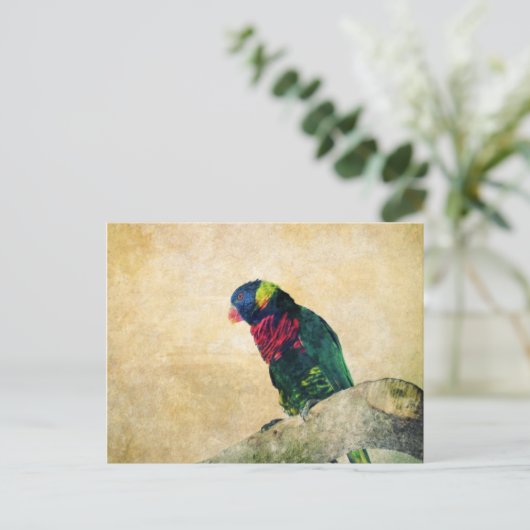 Carte postale Lorikeet (Debout devant)
