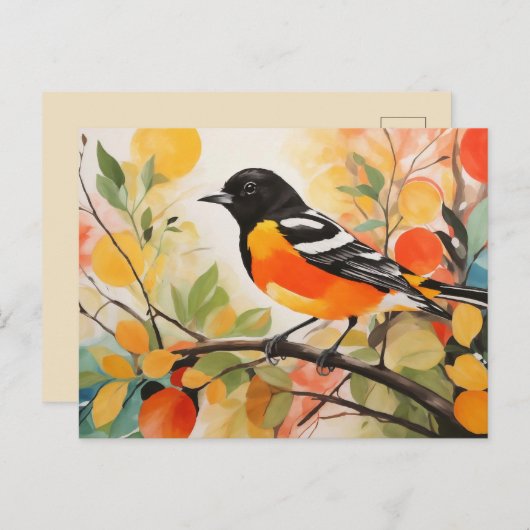 Carte Postale L'Oriole de Baltimore, un oiseau de charme de la n (Devant / Derrière)