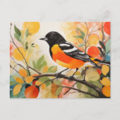 Carte Postale L'Oriole de Baltimore, un oiseau de charme de la n (Devant)