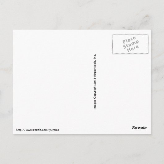 Carte Postale L'Oriole de Bullock (Dos)