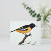 Carte Postale Loriot du nord (Debout devant)