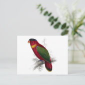 Carte Postale Lory à cou noir par Edward Lear (Debout devant)
