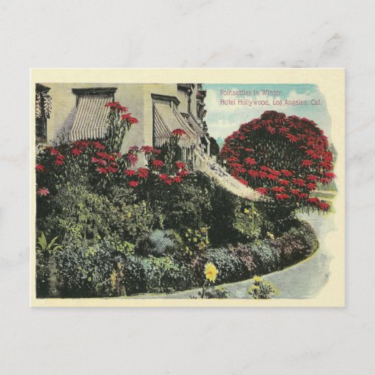 Carte Postale Los Angeles vintage Californie (Devant)