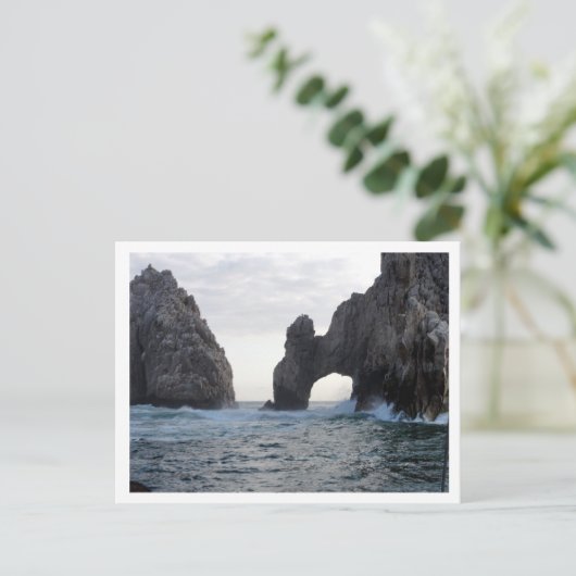 Carte Postale Los Cabos (Debout devant)