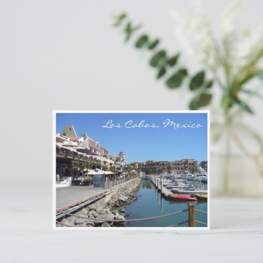 Carte Postale los cabos mexico (Debout devant)