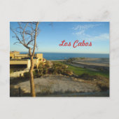 Carte Postale Los Cabos Mexique (Devant)