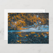 Carte Postale Los Gatos, États-Unis (Devant / Derrière)