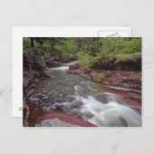 Carte Postale Lost Horse Creek dans le parc national des Lacs-Wa (Devant / Derrière)