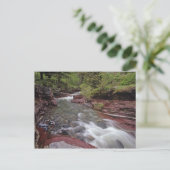 Carte Postale Lost Horse Creek dans le parc national des Lacs-Wa (Debout devant)