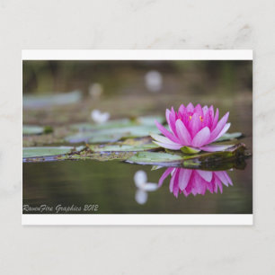 Carte Postale Lotus