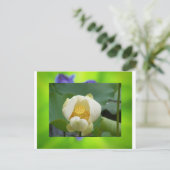 Carte Postale Lotus (Debout devant)