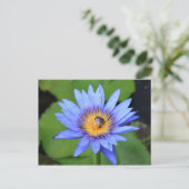 Carte Postale Lotus (Debout devant)