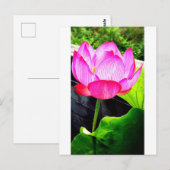 Carte Postale Lotus (Devant / Derrière)