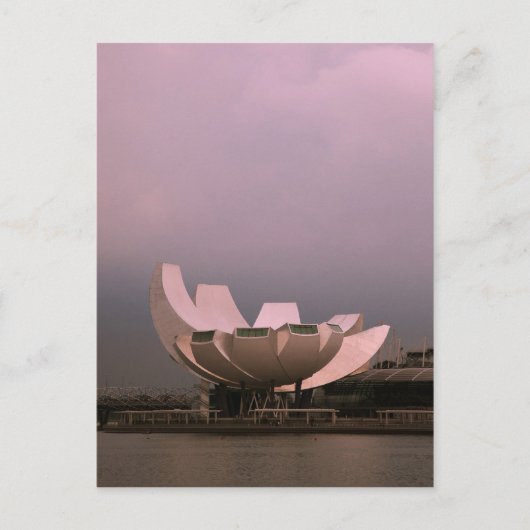 Carte Postale Lotus (Devant)