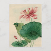 Carte postale Lotus (Devant)