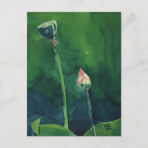 Carte postale Lotus