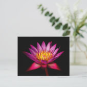 Carte Postale Lotus (Debout devant)