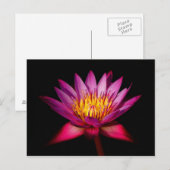 Carte Postale Lotus (Devant / Derrière)