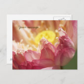 Carte postale Lotus (Devant / Derrière)