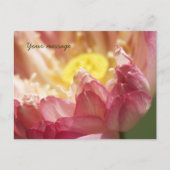 Carte postale Lotus (Devant)