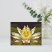 Carte Postale Lotus1 amélioré (Debout devant)
