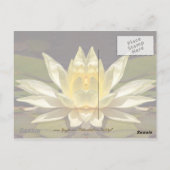 Carte Postale Lotus1 amélioré (Dos)