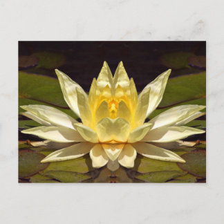 Carte Postale Lotus1 amélioré