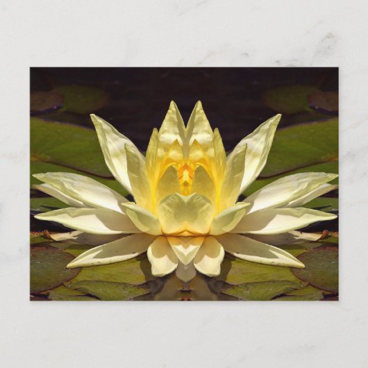 Carte Postale Lotus1 amélioré (Devant)