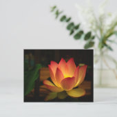 Carte Postale Lotus 1 (Debout devant)